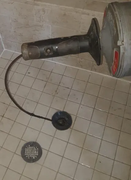 Plumber's Kingdom Picture 2