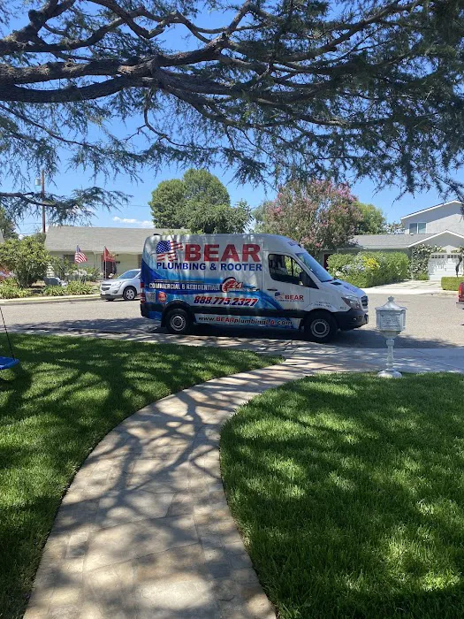 BEAR PLUMBING Picture 4