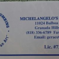 Michelangelos Services Inc. ico