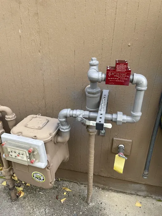 Michelangelos Services Inc. Picture 5