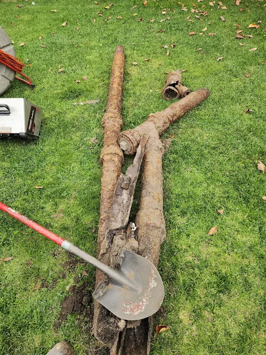 Detox Hydro Jet Picture 5