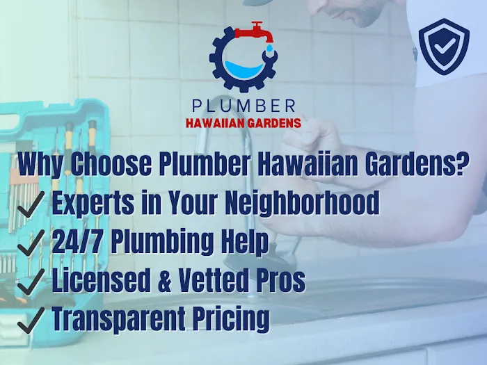 Plumber Hawaiian Gardens Picture 2