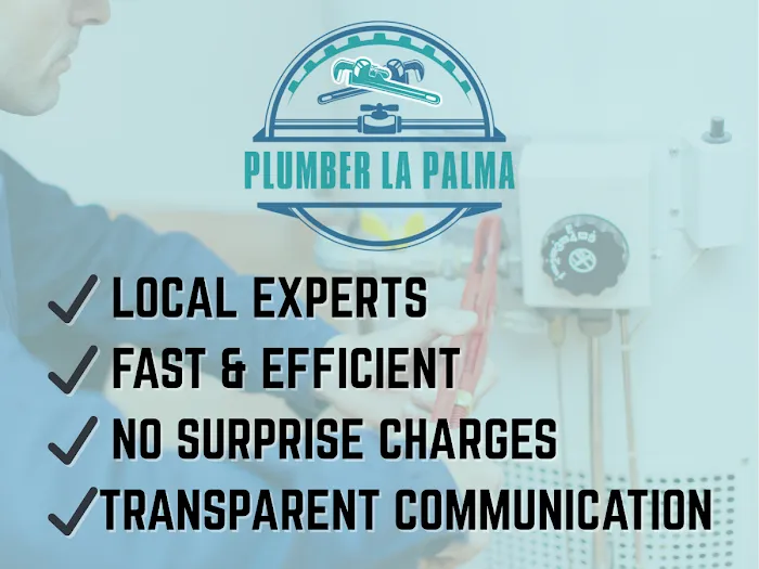 Plumber La Palma Picture 4