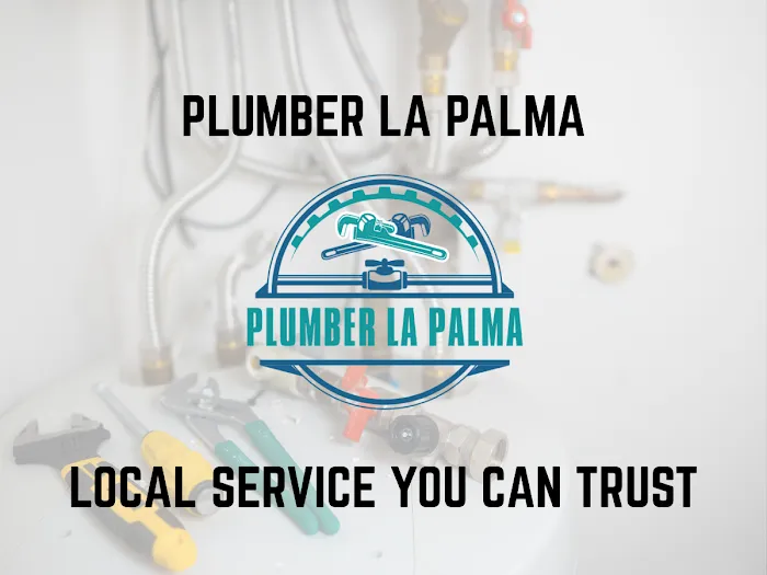 Plumber La Palma Picture 10