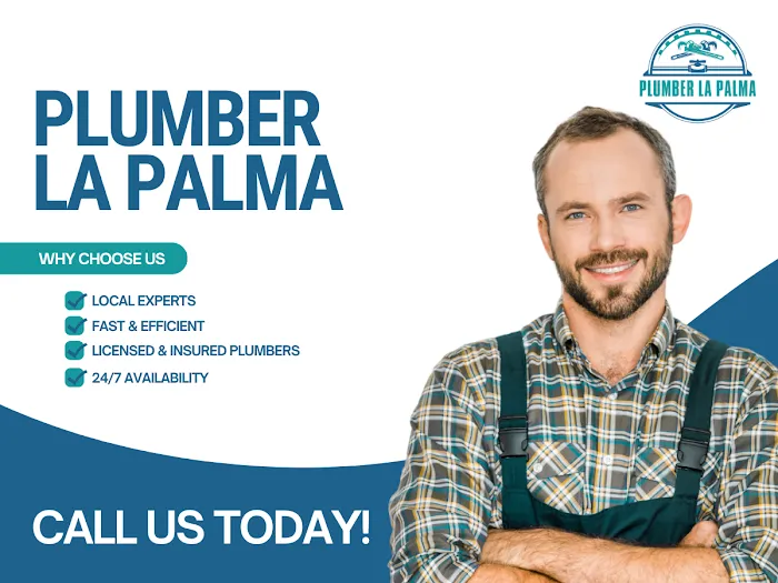 Plumber La Palma Picture 6