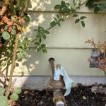 Cooper Plumbing