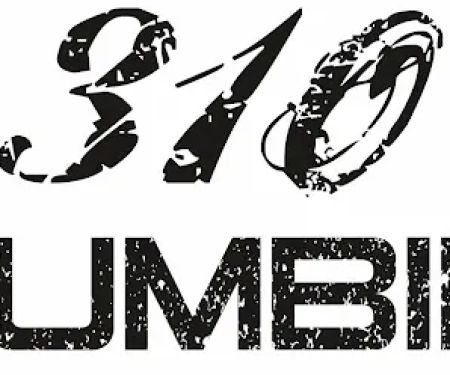310 Plumbing