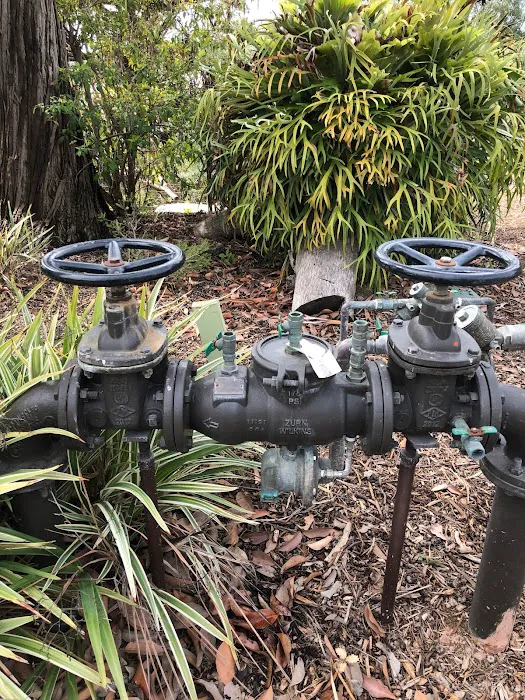 Hydro Backflow Picture 3