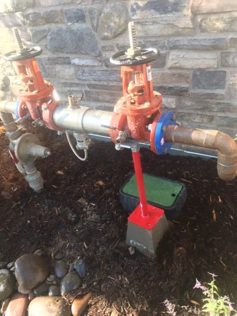Hydro Backflow Picture 2