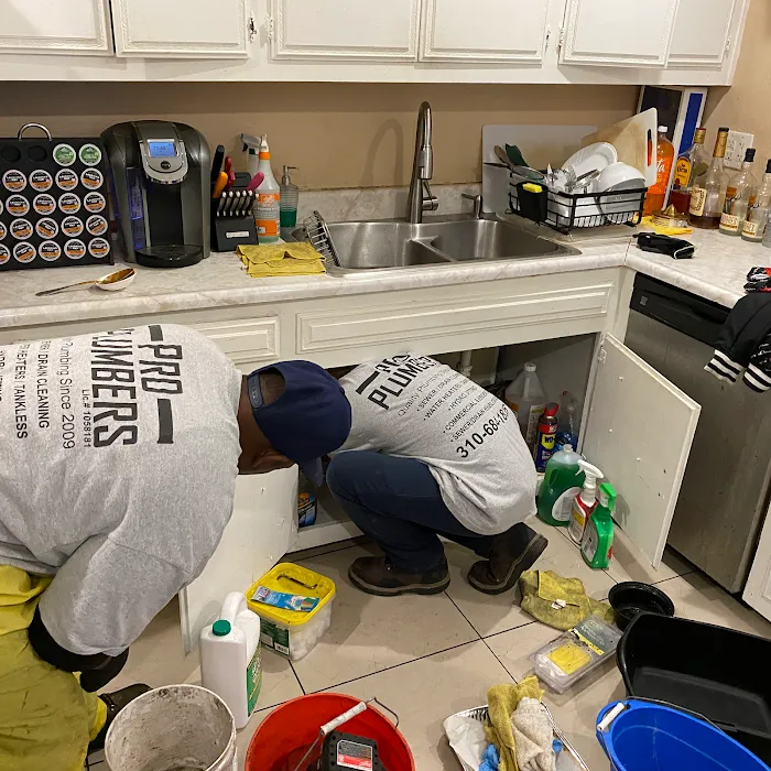 Pro Plumbers Inc Picture 6