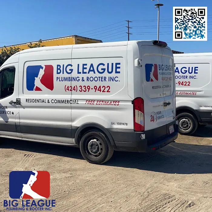 Big League Plumbing & Rooter Inc Picture 10