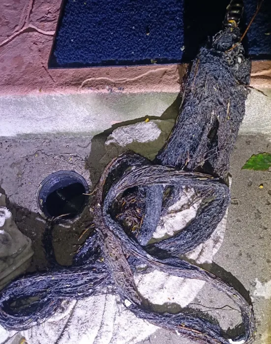 Unclog Drain Cleaning Service Picture 9