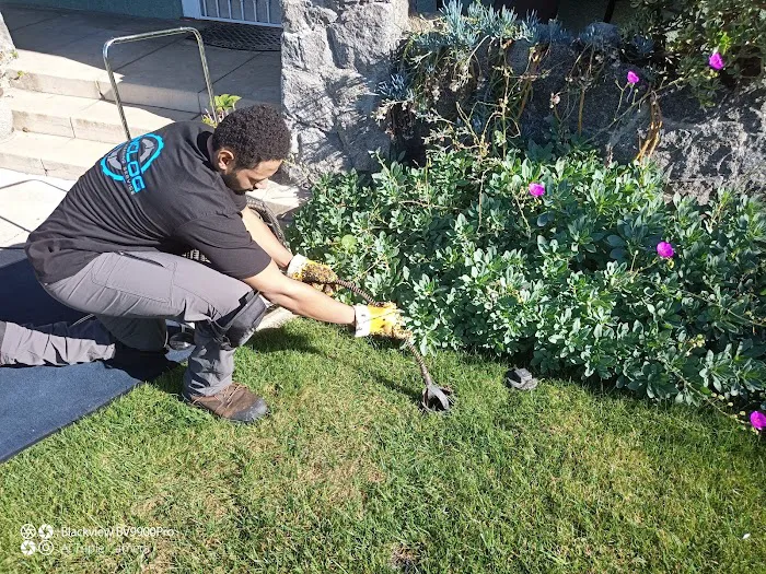 Unclog Drain Cleaning Service Picture 10