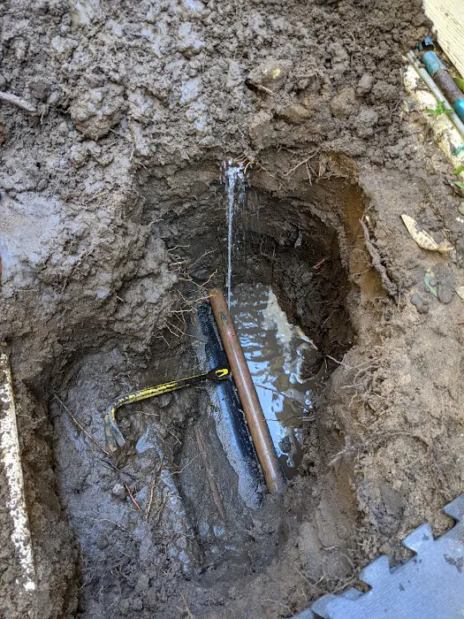 Leak Hounds Plumbing, Leak Detection & Repiping Picture 5