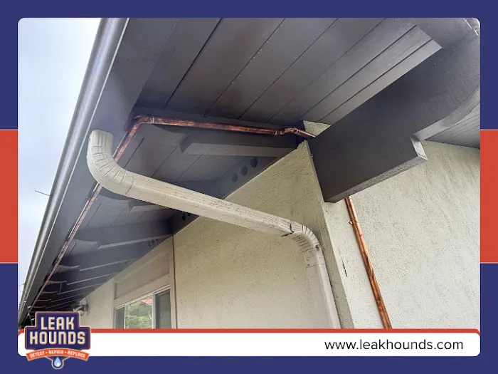 Leak Hounds Plumbing, Leak Detection & Repiping Picture 6