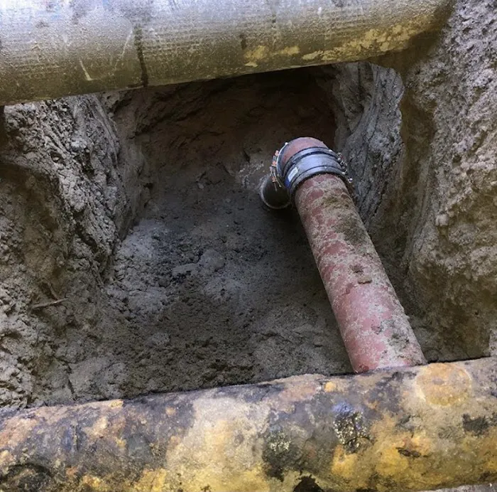 The Sewer Surgeon Picture 1