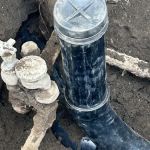 Gripp Plumbing Services Inc.