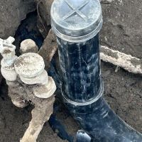 Gripp Plumbing Services Inc. ico