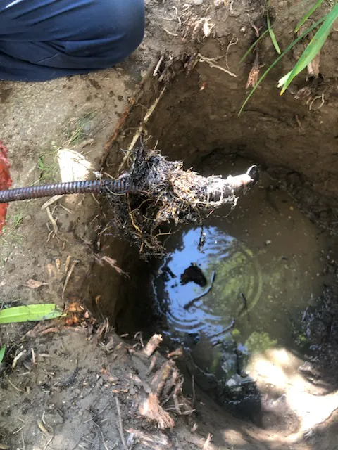 Rooter Patrol Plumbing Picture 7