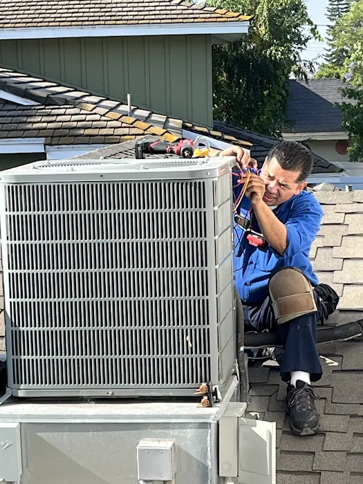 Service Lion Plumbing Heating Air Electric Picture 2