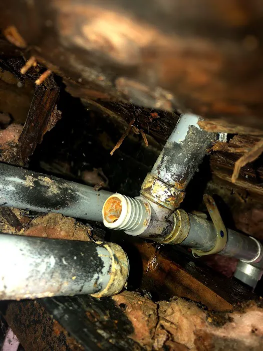 Preferred Plumbing and Rooter Services Picture 4
