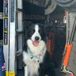 Best Friend Plumbing & Rooter, Inc.