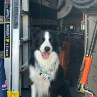 Best Friend Plumbing & Rooter, Inc. ico