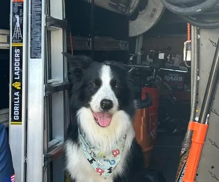 Best Friend Plumbing & Rooter, Inc.