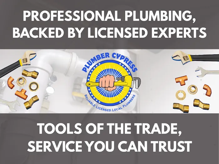 Plumber Cypress Picture 3