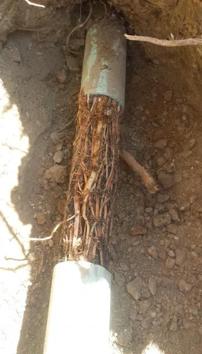 Red Star Plumbing Picture 6