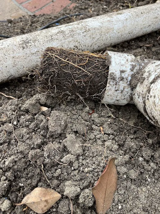 Drain EZ Plumbing Picture 7