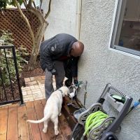 Pete Fer & Son Plumbing and Supply Co. ico