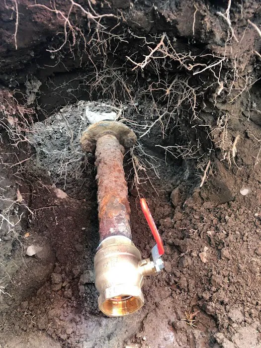 Drains & Plumbing Repair Picture 4