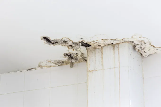 Excel Plumbing Garden Grove Services Picture 8