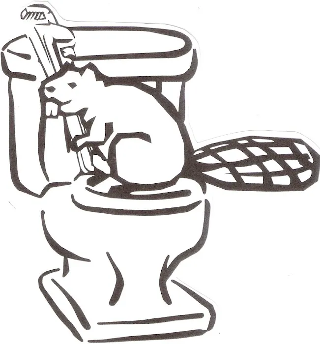 Beavers Plumbing & Rooter Picture 2