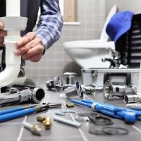 The Local Plumber ico
