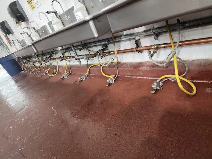 All-in Plumbing Care Picture 5