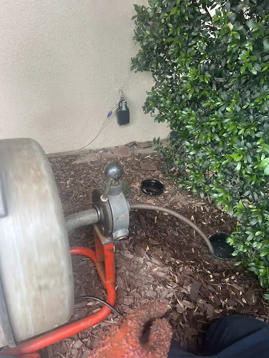 Plumb Guild Picture 6