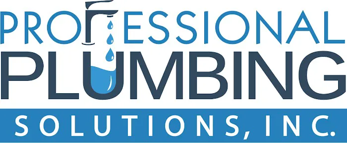 Professional Plumbing Solutions Picture 1
