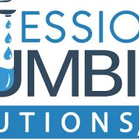 Professional Plumbing Solutions ico