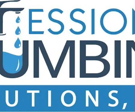 Professional Plumbing Solutions