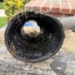 Whyte Plumbing, Inc. & Pipe Dr USA.