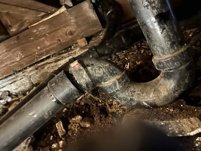 Most Valuable Plumber Picture 4
