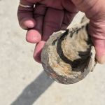 Most Valuable Plumber