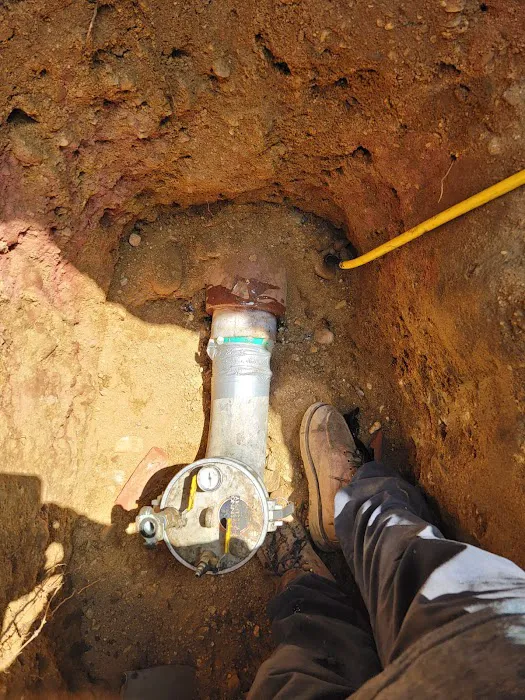 Most Valuable Plumber Picture 6