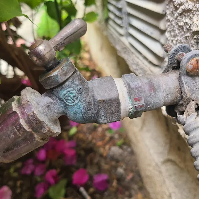 Most Valuable Plumber Picture 10