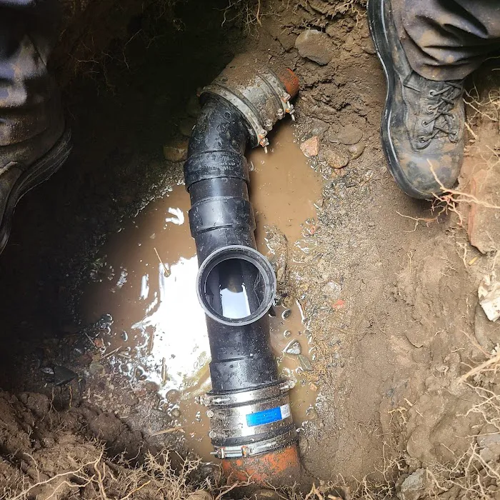 Most Valuable Plumber Picture 7