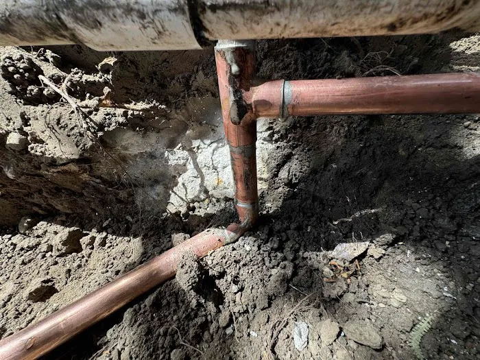 Most Valuable Plumber Picture 8
