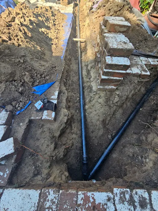 Most Valuable Plumber Picture 5