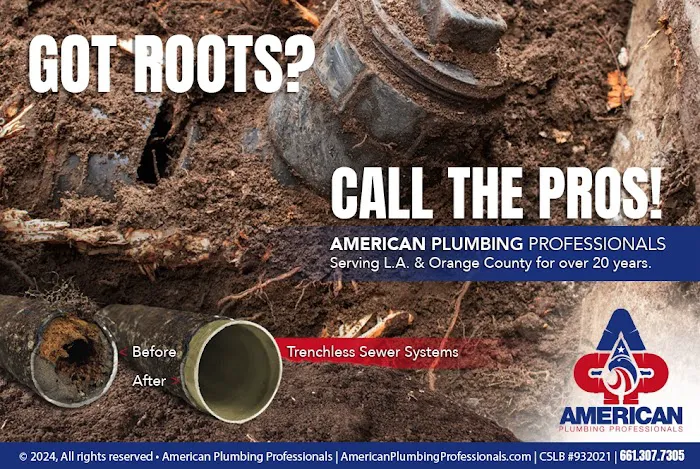 American Plumbing Professionals Picture 7